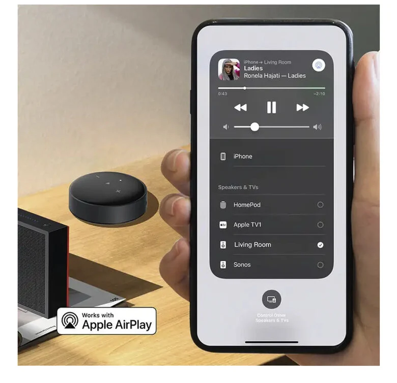 WiiM Mini Lettore Audio Wireless Airplay 2, Preamplificatore, Stereo Multiroom, Compatibile Con Alexa E Siri, Nero