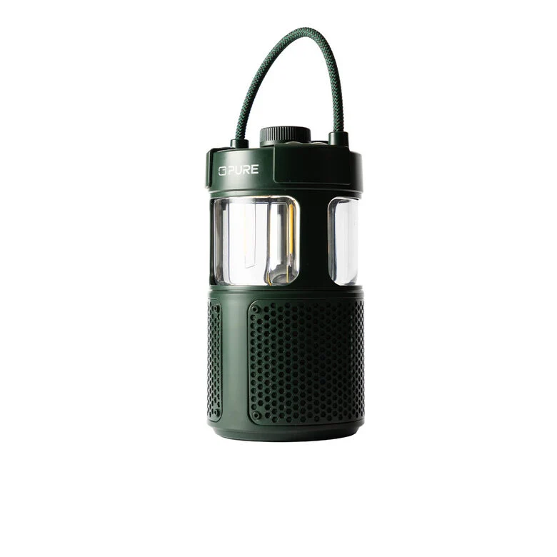 Pure 252584 altoparlante portatile e per feste Verde 20 W