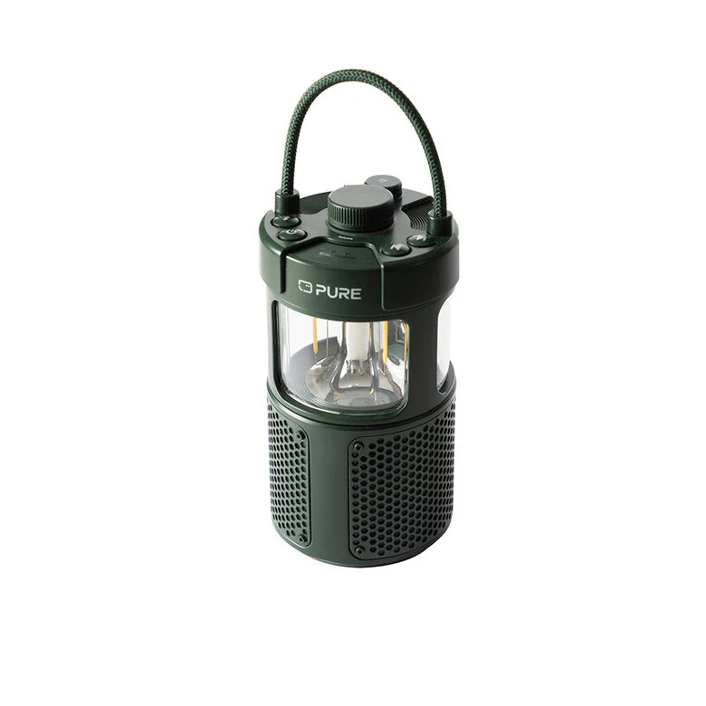 Pure 252584 altoparlante portatile e per feste Verde 20 W