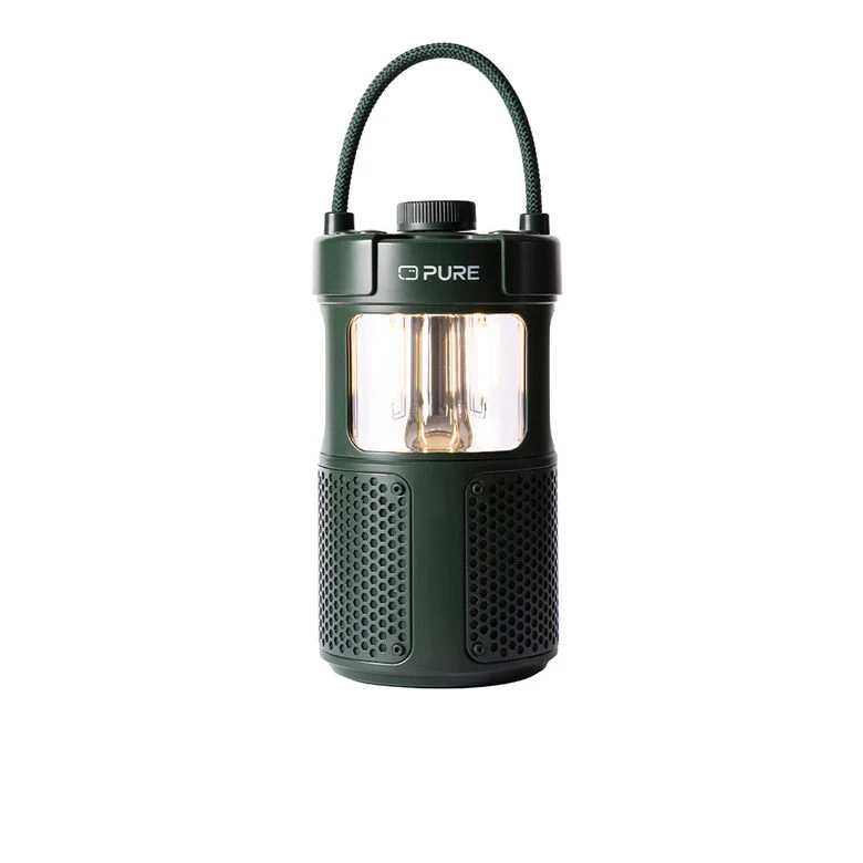 Pure 252584 altoparlante portatile e per feste Verde 20 W