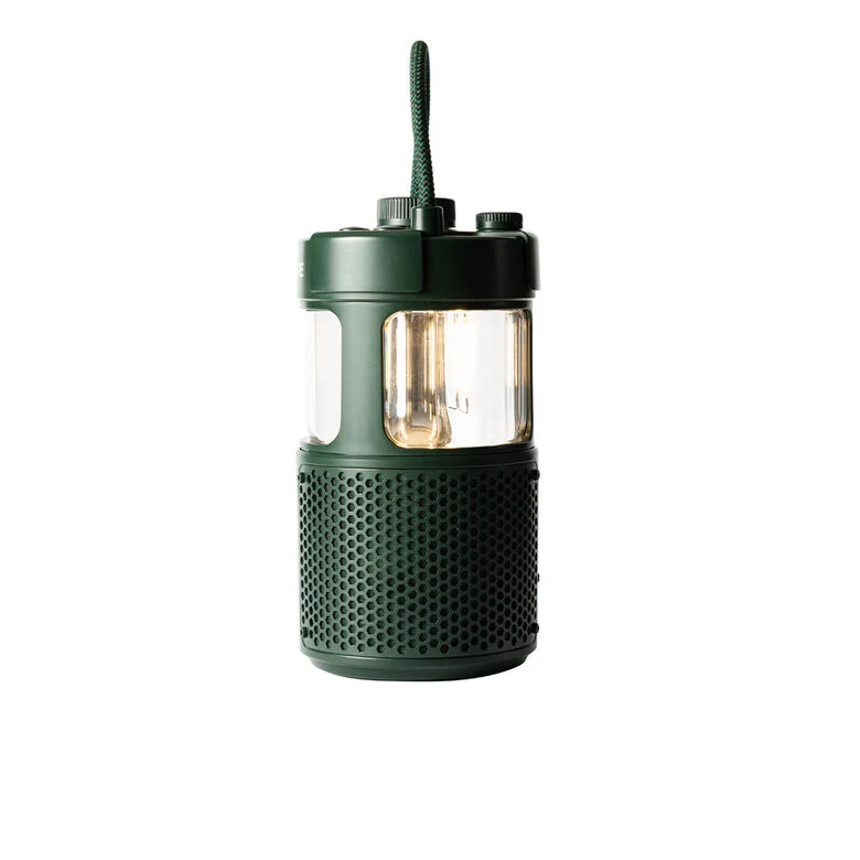 Pure 252584 altoparlante portatile e per feste Verde 20 W