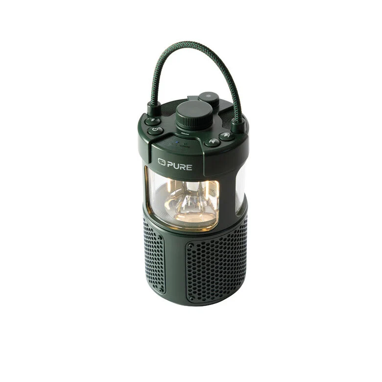 Pure 252584 altoparlante portatile e per feste Verde 20 W