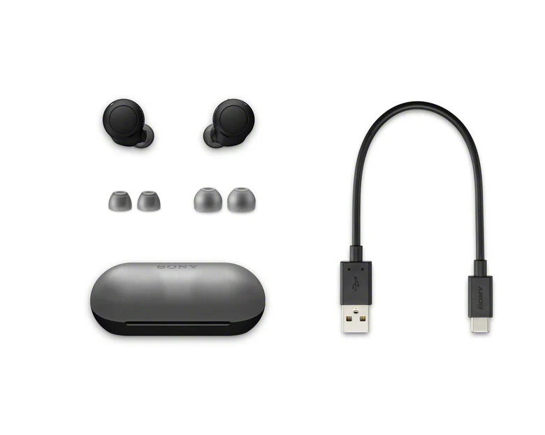 Sony WF-C500 - Auricolari True Wireless, Fino a 20 ore di durata della batteria con custodia di ricarica, Compatibile con l'Assistente Vocale, Microfono integrato (Nero)