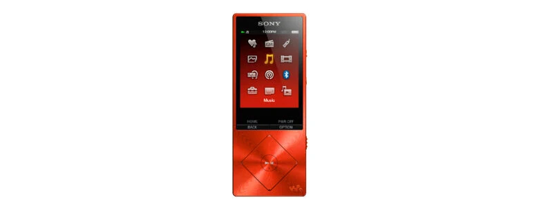 Sony Walkman NW-A25HN