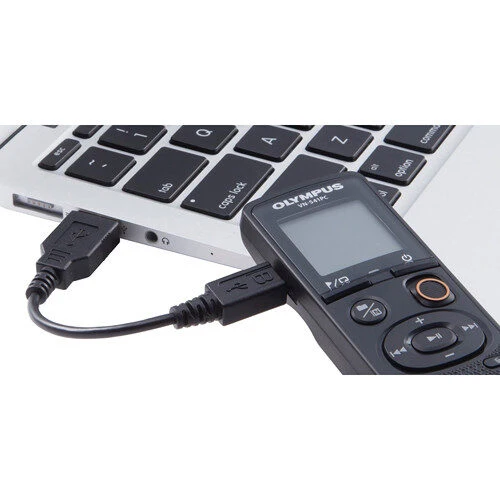 Olympus VN-541PC Memoria interna Nero