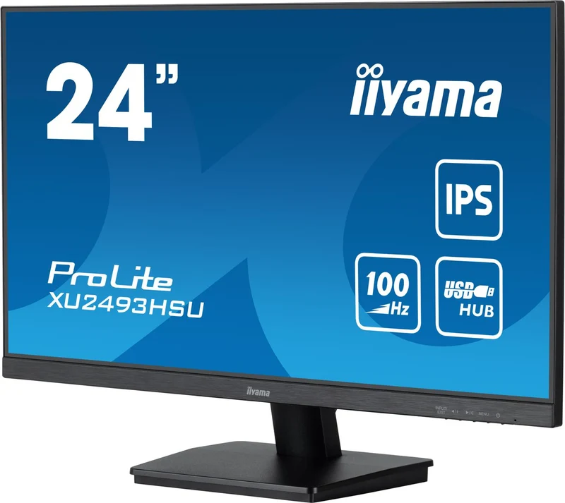 24 Fhd Ips Panel