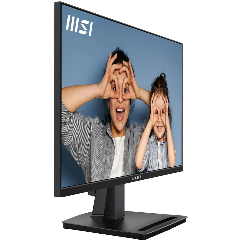 Msi Pro Mp251 24.5 Fhd Hdmi D-Sub Vesa Black