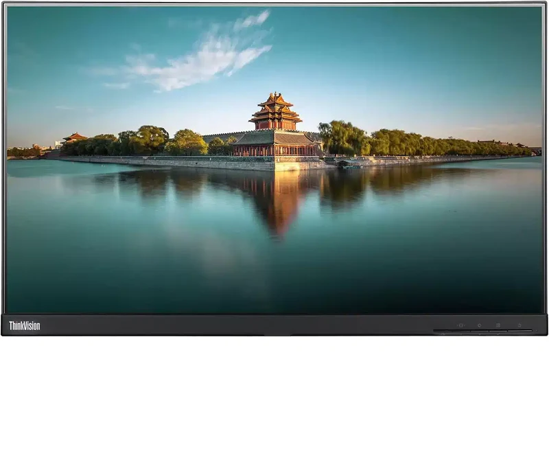 Bundle doppio Monitor Lenovo ThinkVision T24i 24" FullHD con supporto a braccio regolabile VGA HDMI Display Port - Efficienza e Comfort Visivo