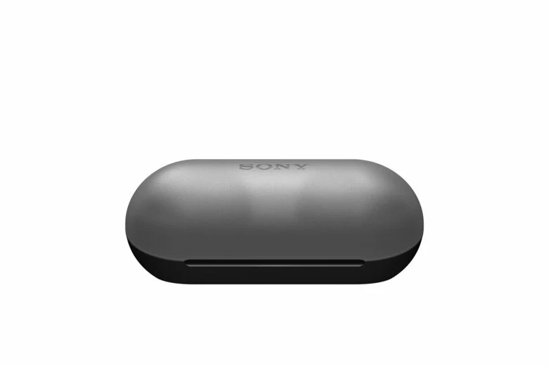 Sony WF-C500 - Auricolari True Wireless, Fino a 20 ore di durata della batteria con custodia di ricarica, Compatibile con l'Assistente Vocale, Microfono integrato (Nero)