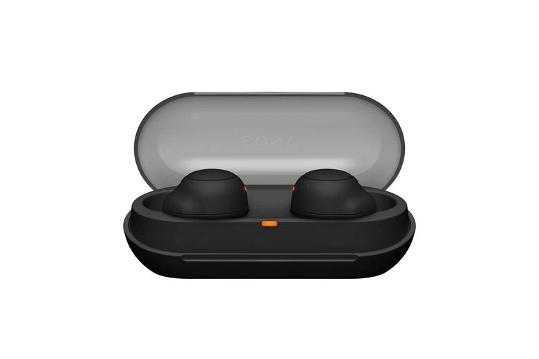Sony WF-C500 - Auricolari True Wireless, Fino a 20 ore di durata della batteria con custodia di ricarica, Compatibile con l'Assistente Vocale, Microfono integrato (Nero)