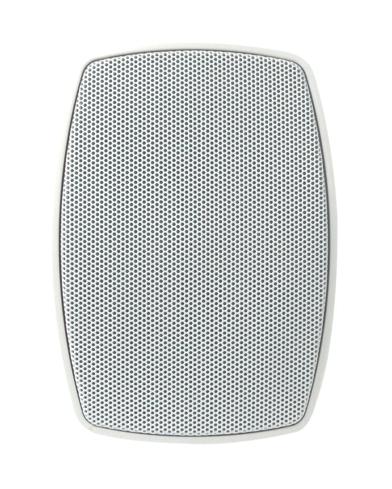 GLEMM BS AE580WI coppia casse 70/100v da 80W