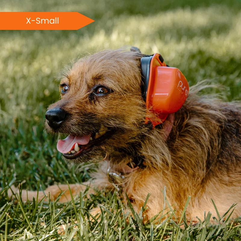 PuroPup Dog Earmuffs Between Sizes