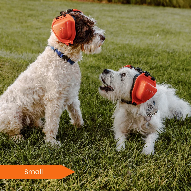 PuroPup Dog Earmuffs Between Sizes