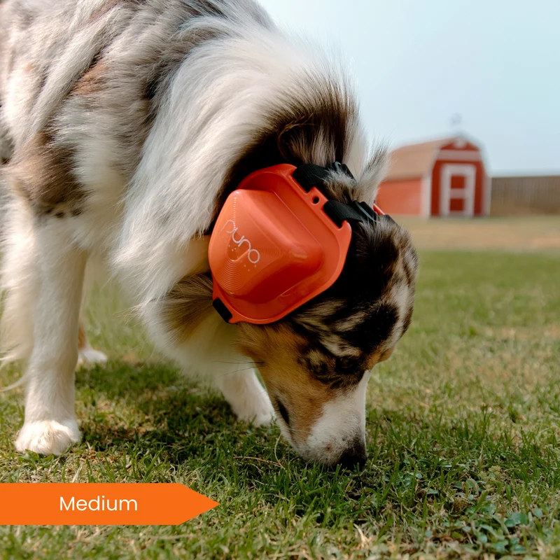 PuroPup Dog Earmuffs Between Sizes