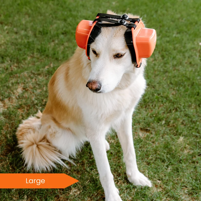 PuroPup Dog Earmuffs Between Sizes