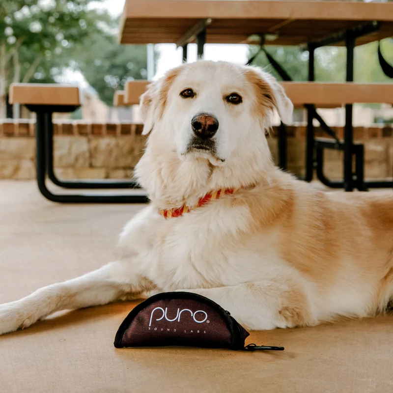 PuroPup Travel Bowl