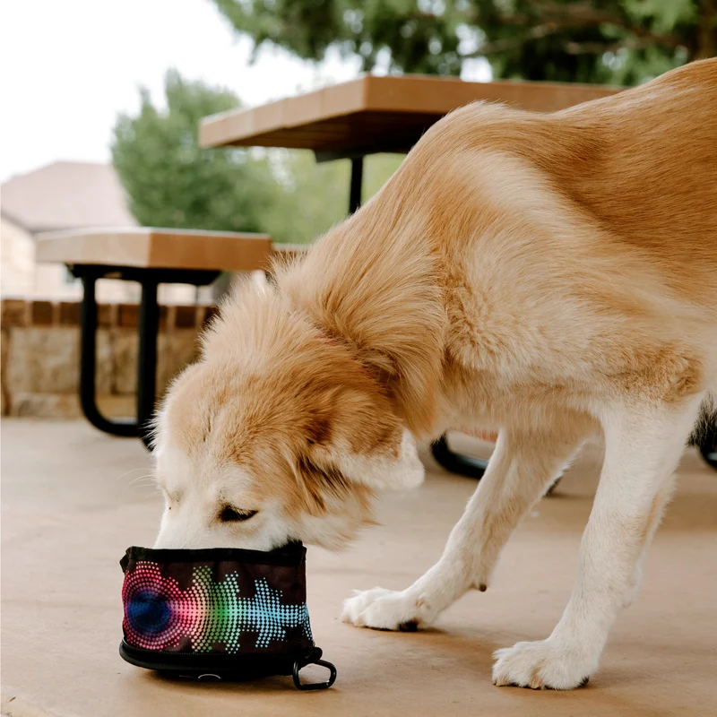PuroPup Travel Bowl
