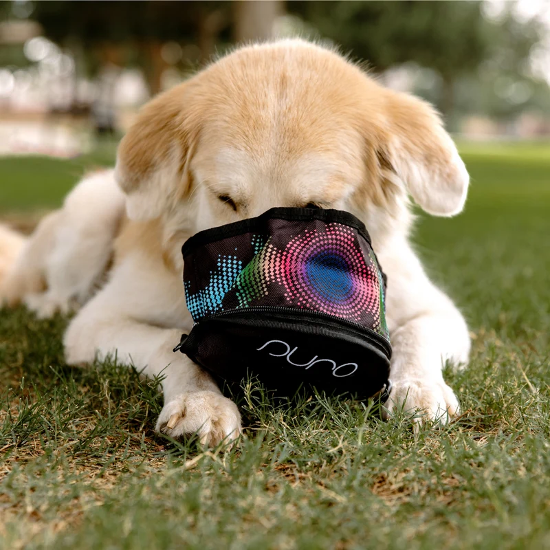 PuroPup Travel Bowl