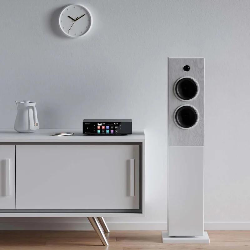 EverSolo T8