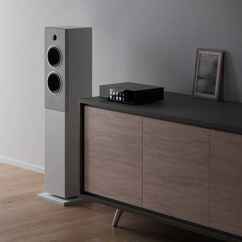 EverSolo T8