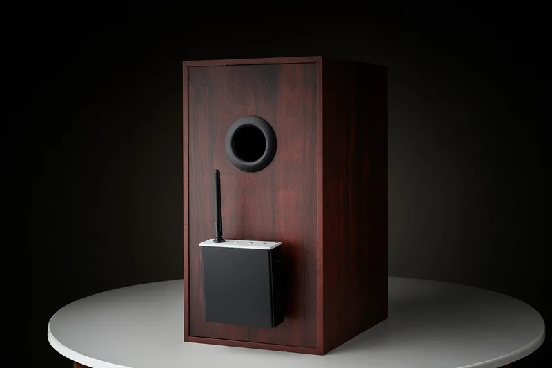 Pro-ject WIRELESS BOX E Amplificatore streaming mono compatto che si collega direttamente ai morsetti dei diffusori tramite uscite a banana