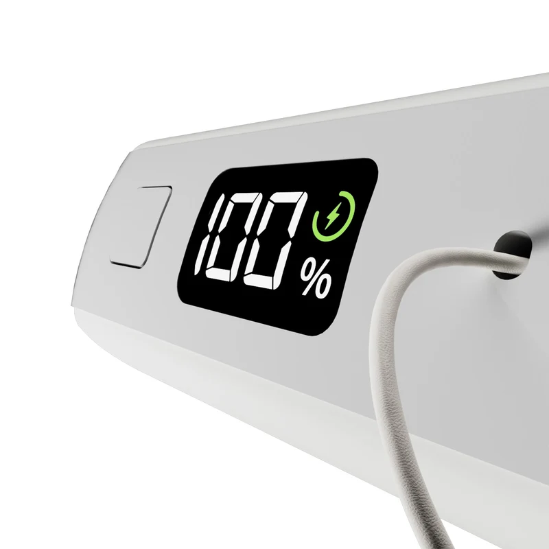 Power Bank 10000 mAh con cavo USB-C e display LCD