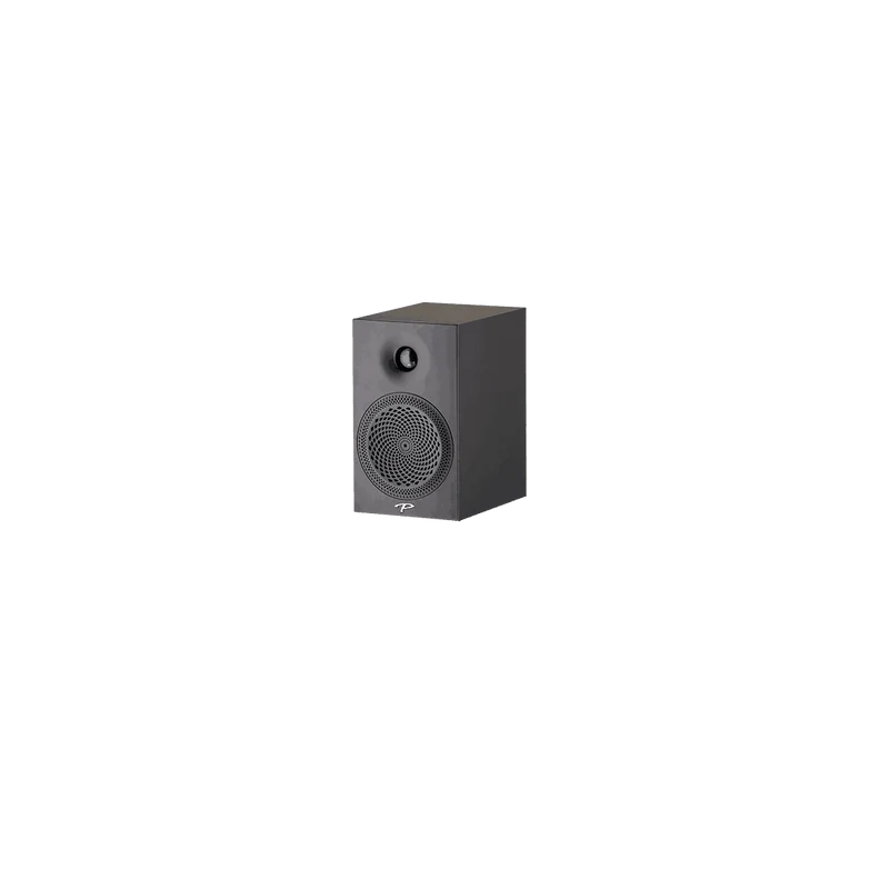 Paradigm Premier 100B