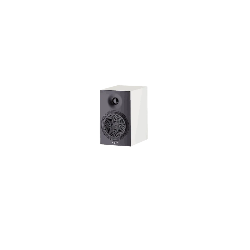 Paradigm Premier 100B