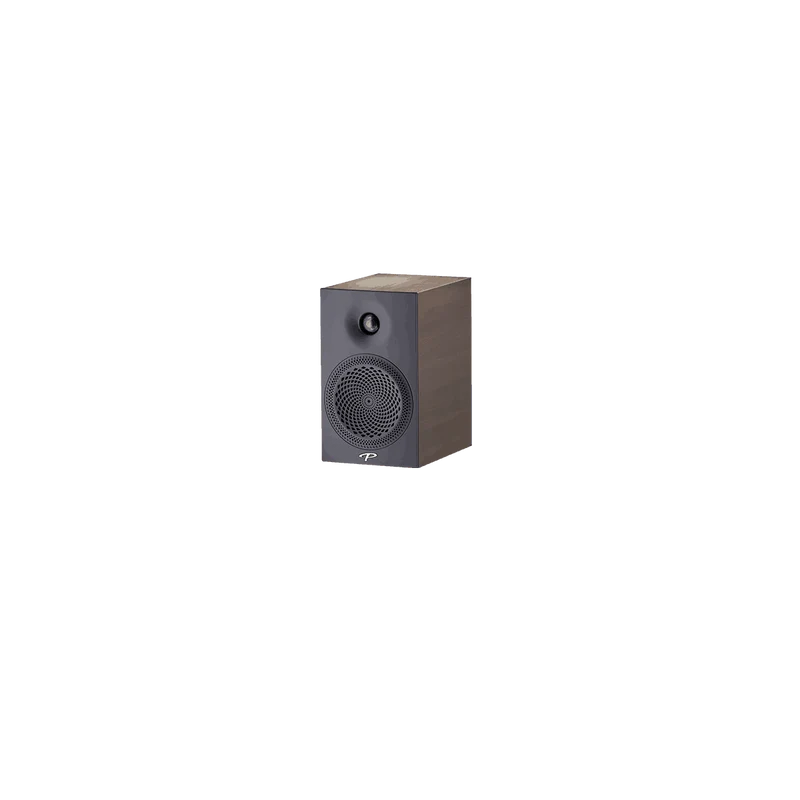 Paradigm Premier 100B