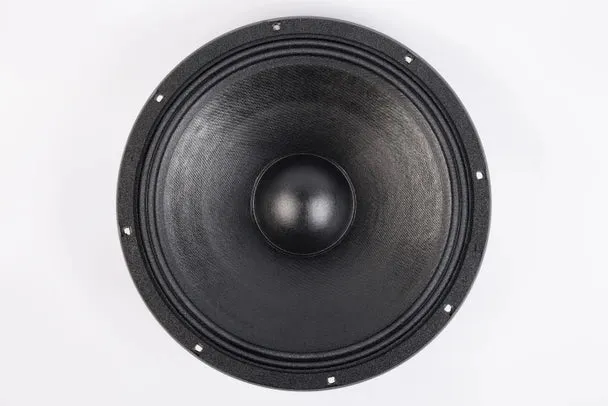 Lavoce WAN153.00-4 woofer da 380mm (15") 4 Ohm 1000W