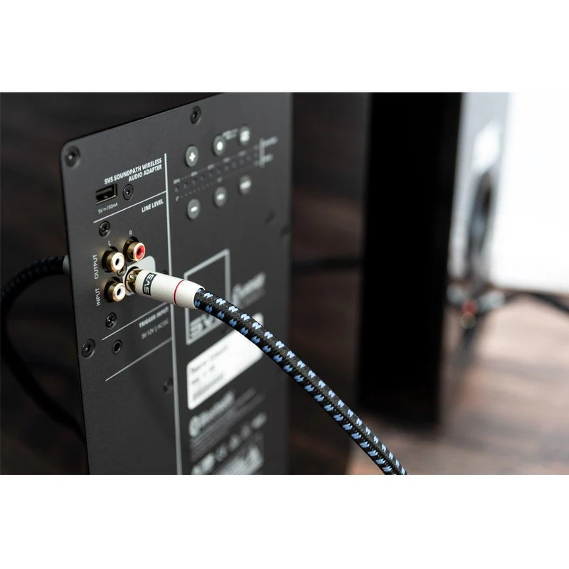 SVS SoundPath RCA Subwoofer