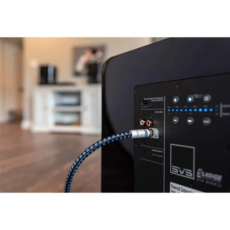 SVS SoundPath RCA Subwoofer