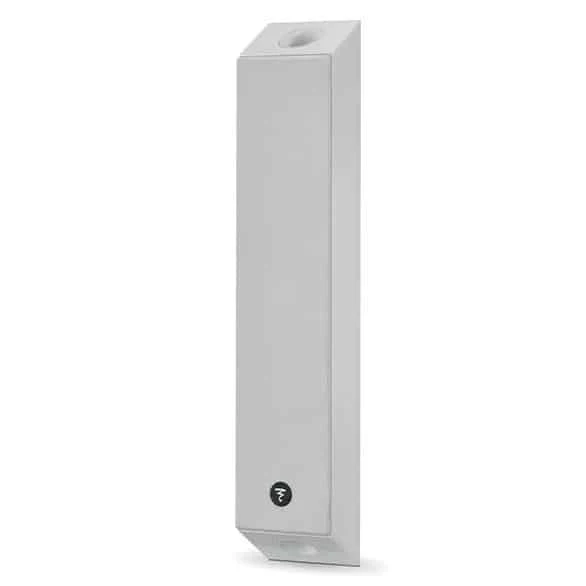 Focal On Wall 301
