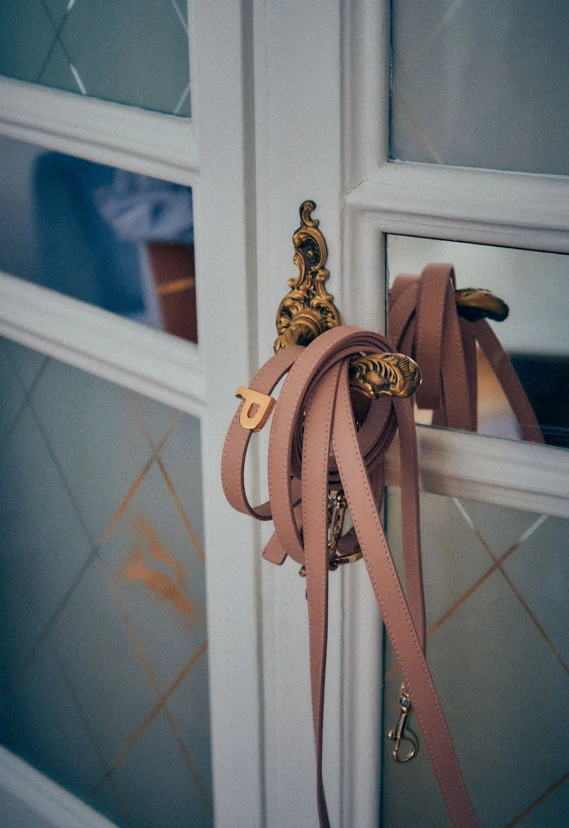 Leash