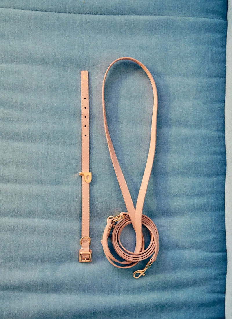 Leash