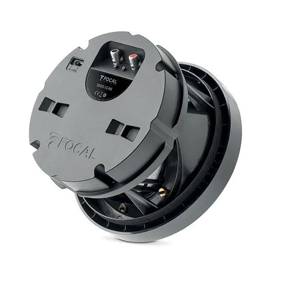 Focal 1000 ICA6