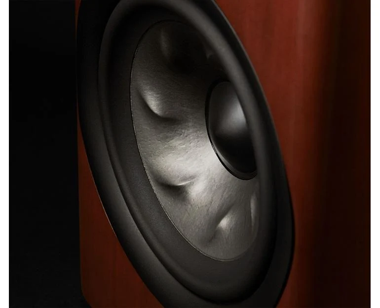 Polk Reserve R200AE Limited Ed. 50th