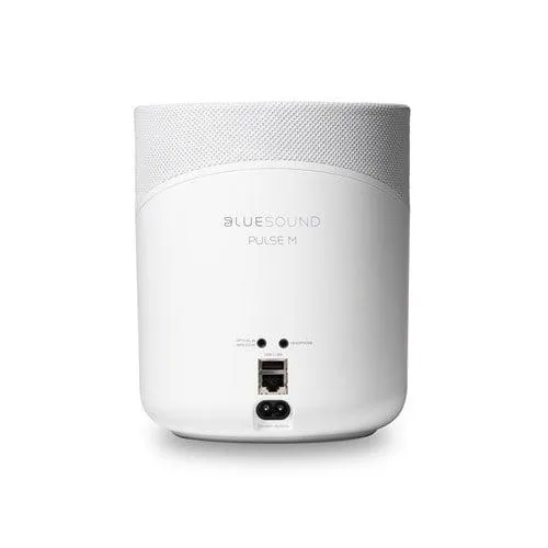 Bluesound Pulse M