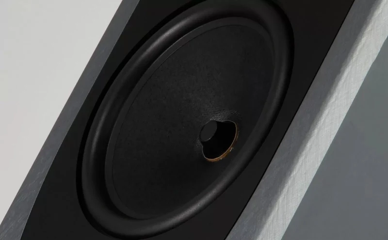 Rega Aya