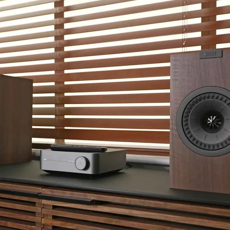 WiiM Amp Pro