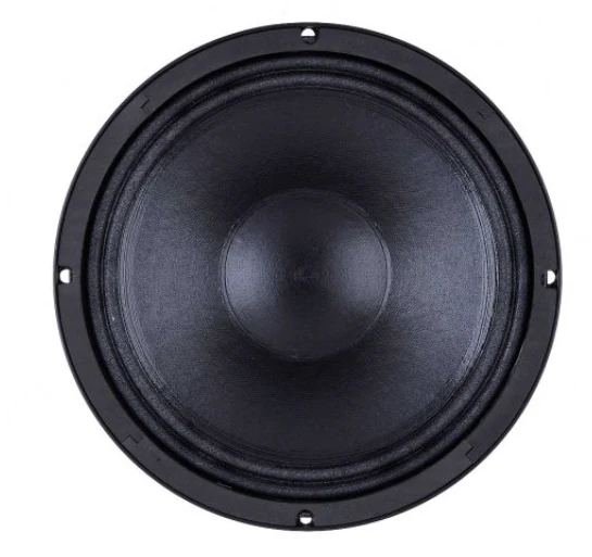B&C 10FW64 woofer da 250mm 8 Ohm 500W