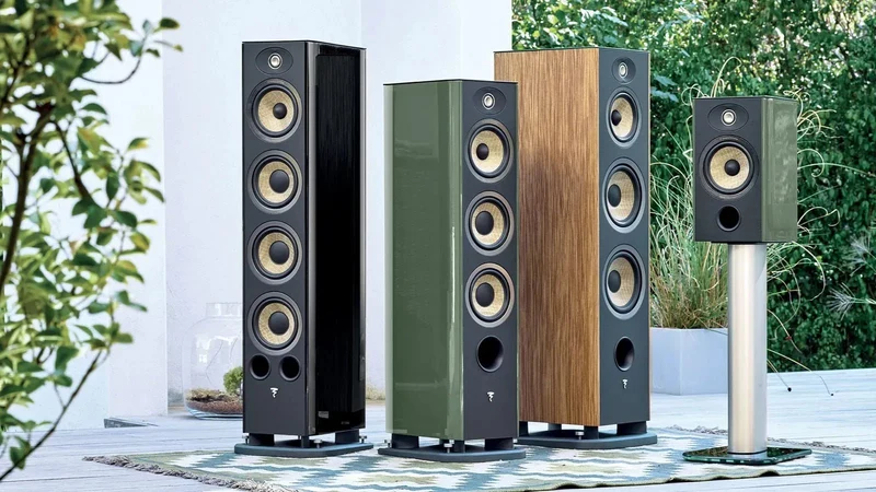 Focal Evo X N°2