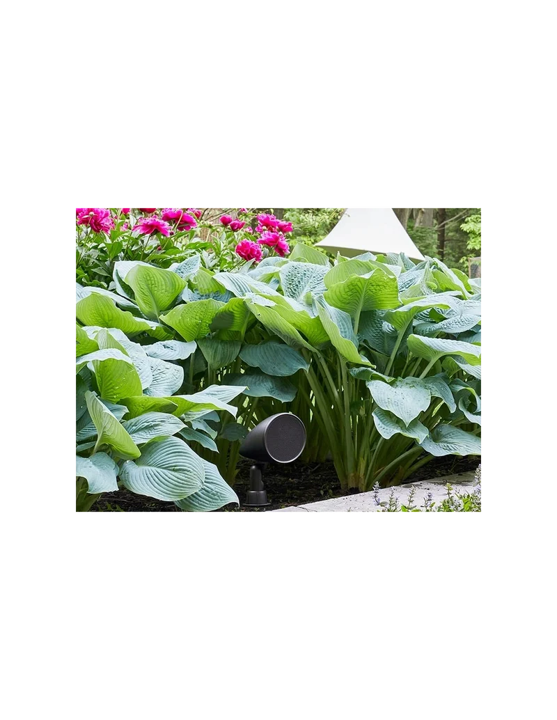 Martin Logan SAT60 coppia di diffusori outdoor 150mm 8 Ohm