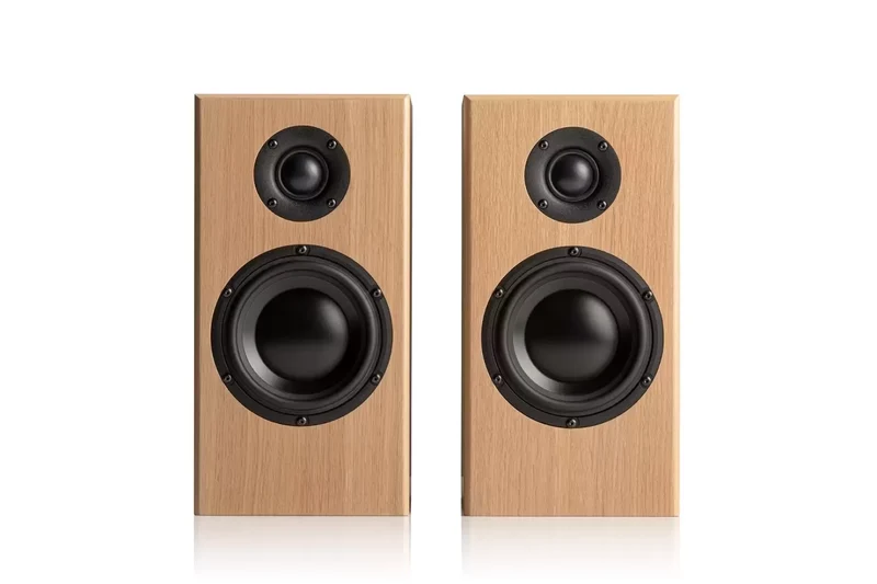 Totem Acoustics Bison Monitor