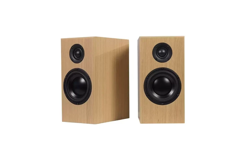Totem Acoustics Bison Monitor