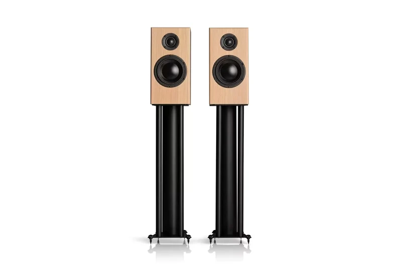Totem Acoustics Bison Monitor