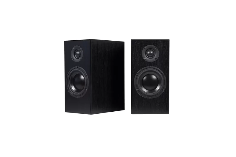 Totem Acoustics Bison Monitor