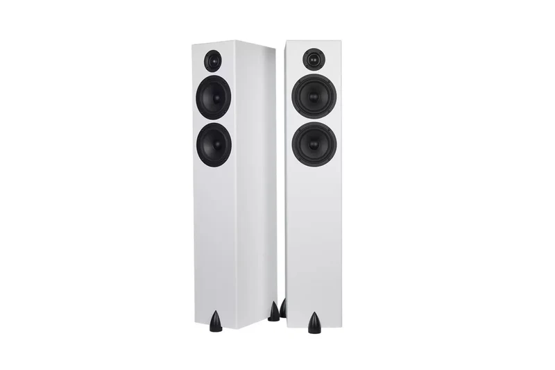 Totem Acoustic Bison Twin Tower