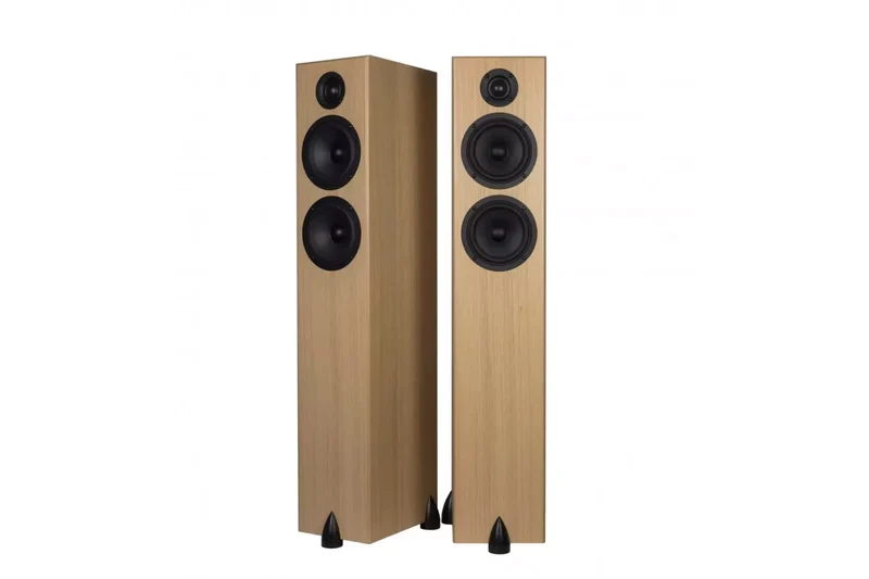 Totem Acoustic Bison Twin Tower