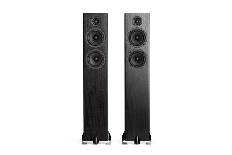 Totem Acoustic Bison Twin Tower